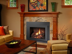 Gas fireplace as fuel option - Behr Necessities
